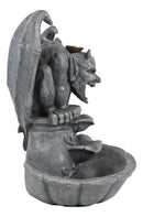 Gothic Chimera Gargoyle On Fountain Pedestal Backflow Incense Cone Burner Decor