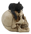 Ebros Witching Hour Black Mystical Cat Perching On Skull Macabre Figurine