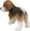 Ebros Realistic Adorable Tri Color Beagle Dog Puppy Figurine 5.75" Long