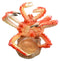 Ocean Marine Giant Spider Anthropod Crab Wine Bottle Holder Caddy