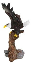 Ebros 7" Tall Bald Eagle Descending On Tree Branch Decorative Figurine Resin