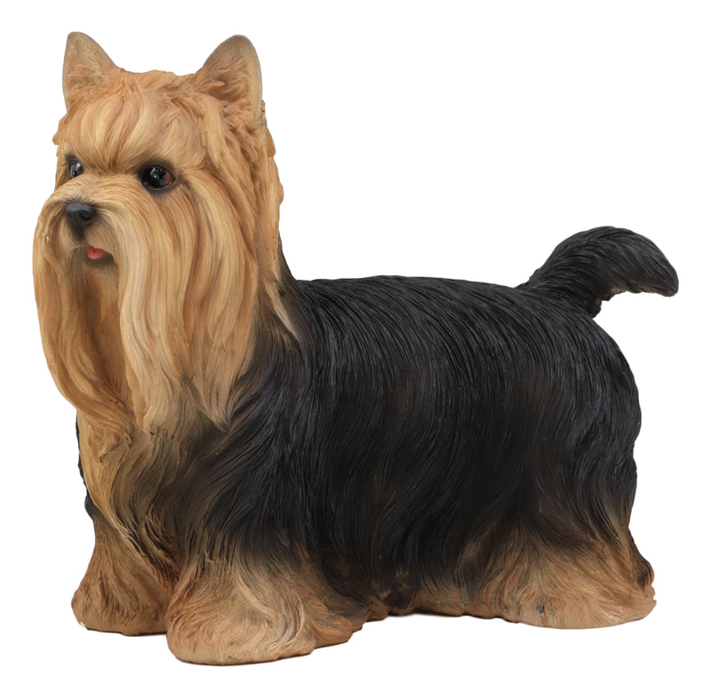 Long Haired Yorkie Statue 11.5"L Pet Pal Yorkshire Terrier Dog Figurine Decor