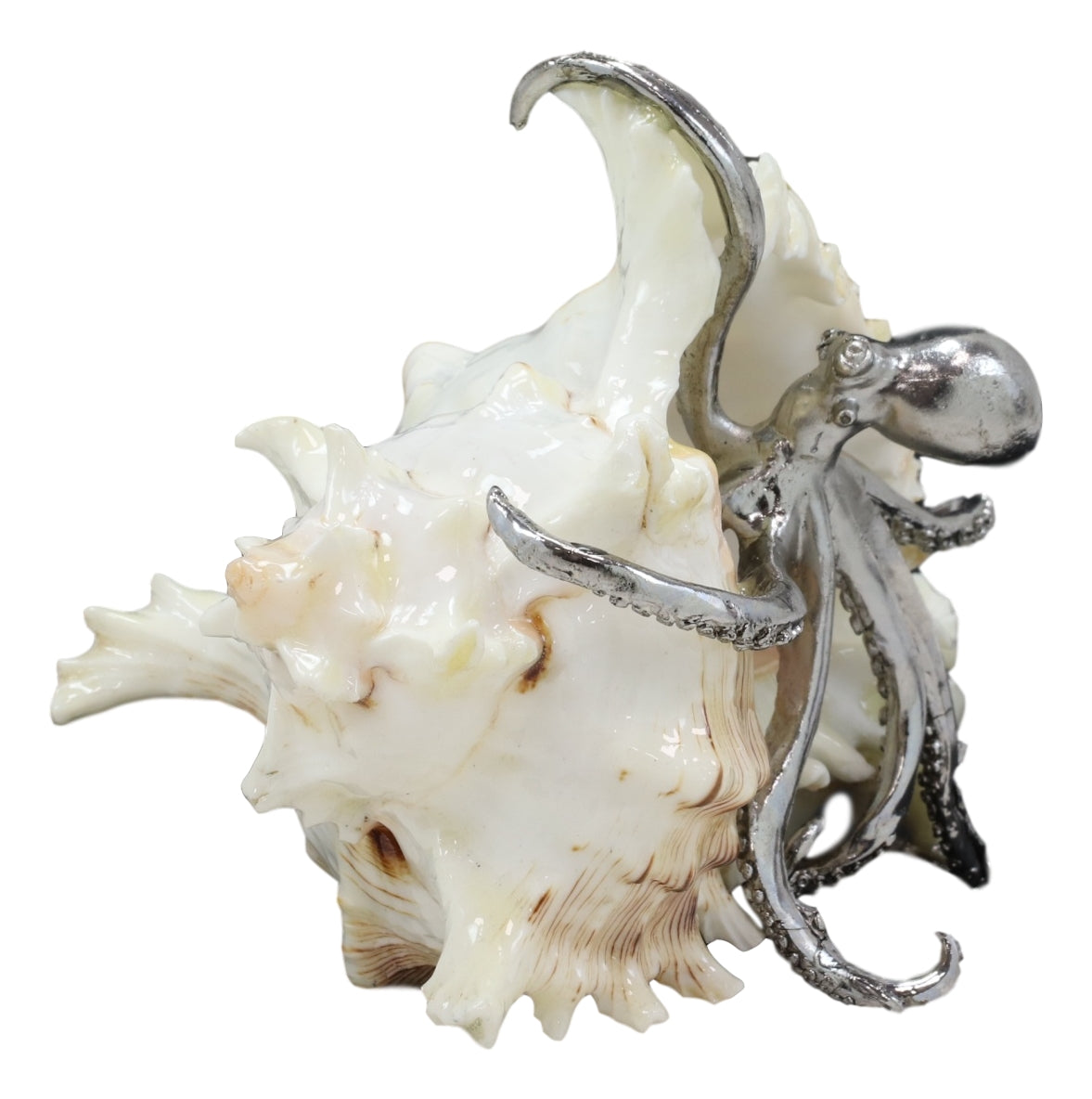 Nautical Marine Silver Giant Sea Octopus On Pretty Striped Sconce Shell Figurine