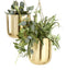 Set Of 2 Contemporary Shiny Gold Metal Hanging Dome Wall Planters With Chains