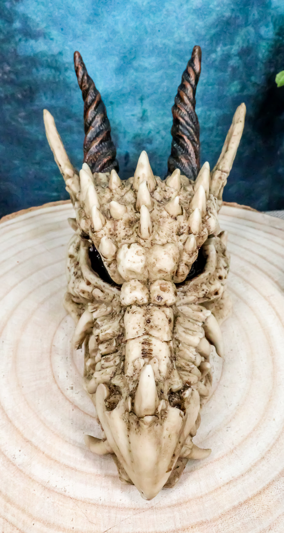 Ebros Jurassic Beowulf Elder Dragon Head Skull Realistic Fossil Statue 7.75" L