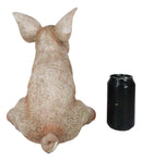 Large Country Farmhouse Adorable Realistic Animal Farm Babe Pig Sitting Statue