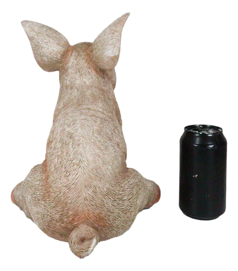 Large Country Farmhouse Adorable Realistic Animal Farm Babe Pig Sitting Statue