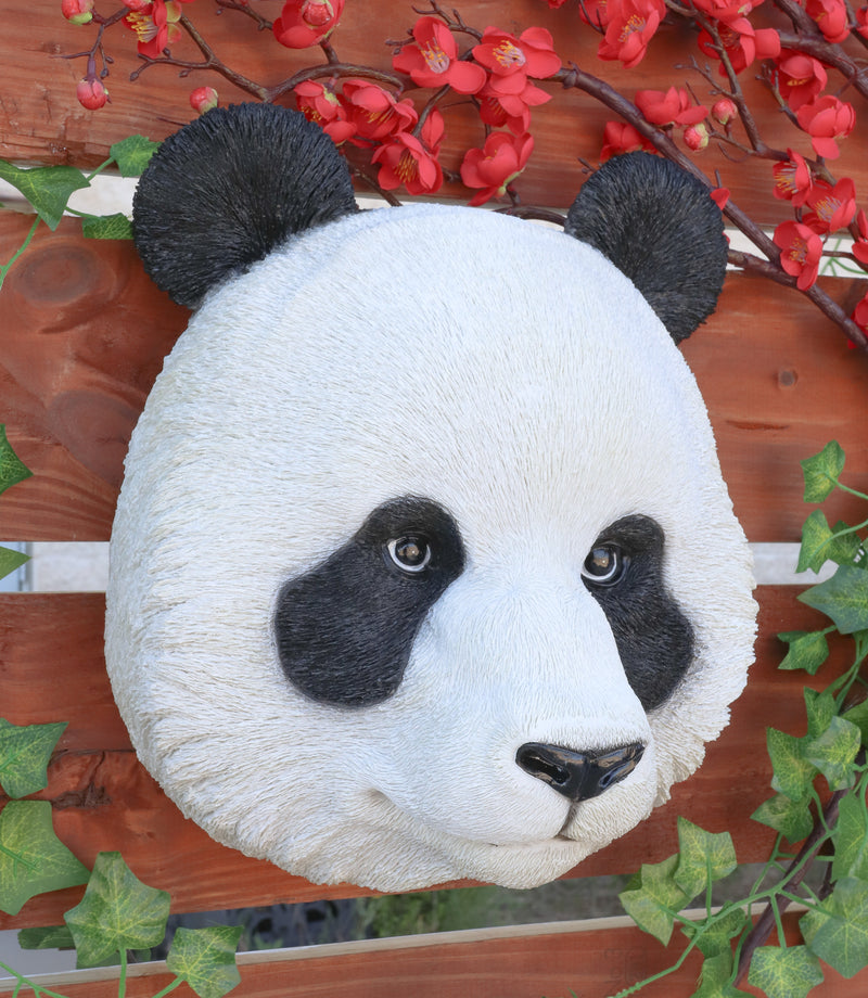 Kung Fu Master Po Large Giant Panda Bust Wall Decor Plaque 12.75"Tall Taxidermy