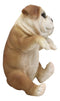 Ebros Garden Pot Hanging Bulldog Statue 7.5" Tall with Glass Eyes Pet Figurine