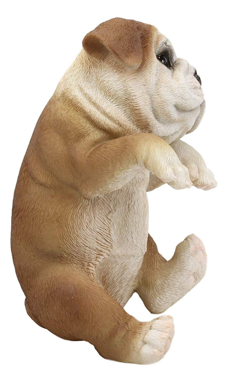 Ebros Garden Pot Hanging Bulldog Statue 7.5" Tall with Glass Eyes Pet Figurine