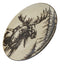 Pack Of 2 Rustic Western Emperor Elk Stag Moose Deer Salad Appetizer Plates