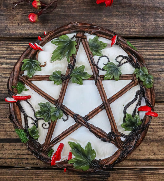 Wicca Toadstool Ivy Leaves Twisted Branches Pentagram Star Wall Decor Plaque