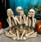 Ebros See Hear Speak No Evil Gossiping Sisters Female Lady Skeletons Statue 6"H
