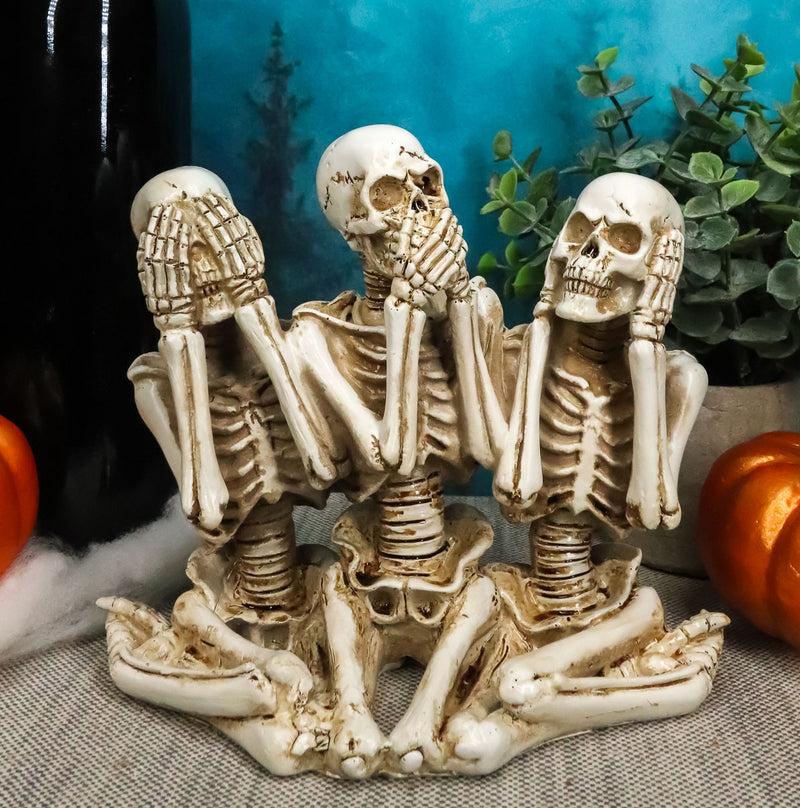 Ebros See Hear Speak No Evil Gossiping Sisters Female Lady Skeletons Statue 6"H