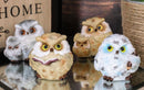 Wise Academic Forest Snowy Owls & Chicks Figurine Set Small Collectibles