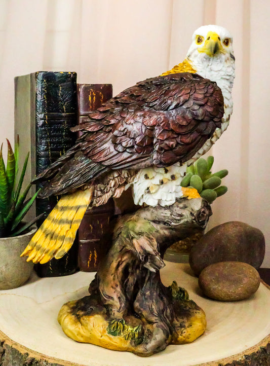 Wildlife Bald Eagle On Tree Stump Statue Birds Of Prey Figurine 10"H - Ebros Gift