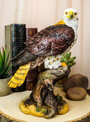 Ebros Wildlife Red Tailed Hawk On Tree Stump Statue Birds Of Prey Figurine 10"H
