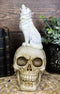Gothic Full Moon Howling White Wolf Sitting On Graveyard Macabre Skull Figurine