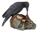 Ebros T Virus Infected Raven Crow Feeding on Zombie Flesh Decorative Figurine 4.25"H