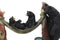 Mother Black Bear With Cubs In Outpost Camping Hammock Statue Wildlife Forest