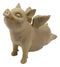 Zen Yoga Flying Pig Angel Hog Heavens In Cobra Stretch Pose Rustic Statue Decor