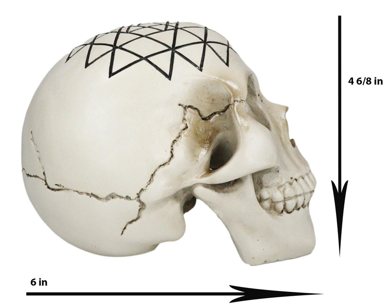 Spiritual Sacred Geometry Sri Yantra Shri Chakra Vastu Symbol Skull Figurine