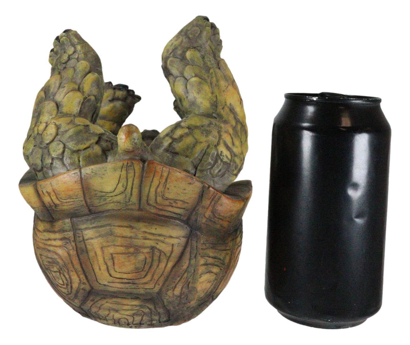 Ebros Gift Tipsy Reptile Turtle Tortoise Wine Bottle Holder Caddy Figurine