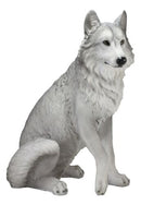 Ebros Large Realistic Dakota Wildlife Sitting Alpha Gray Wolf Statue Decor 20.5"H