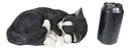Realistic Sleeping Tuxedo Black and White Cat 10" Feline Pet Pal Kitten Figurine