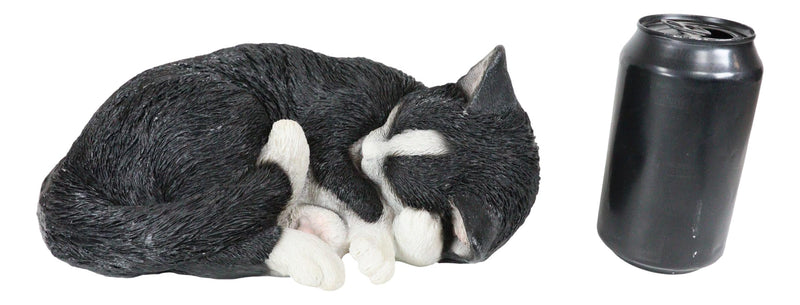 Realistic Sleeping Tuxedo Black and White Cat 10" Feline Pet Pal Kitten Figurine