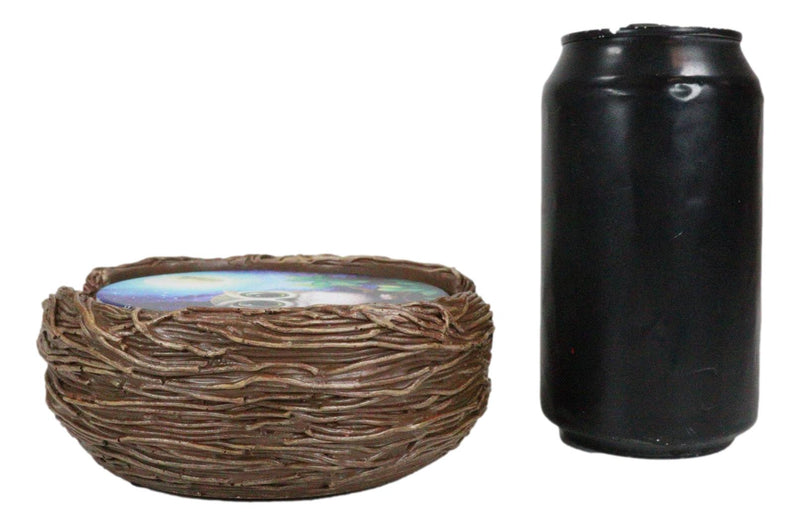 Wide Eyed Owl Perching On Tree Branch by Full Moon Starry Night Coaster Set