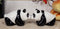 Ceramic Kissing Giant Panda Bears Salt And Pepper Shakers Holder Figurine Set