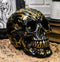 Ebros Black and Gold Tribal Skull Figurine 6.5" Long Collectible Horror Skull Head