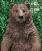 Ebros Giant Size Forest Wildlife Realistic Standing Brown Grizzly Bear Statue More Than 4' Feet Tall Rustic Cabin Lodge Hunter Decor Bears Figurine Gallery Quality Home and Patio Decorative Sculpture
