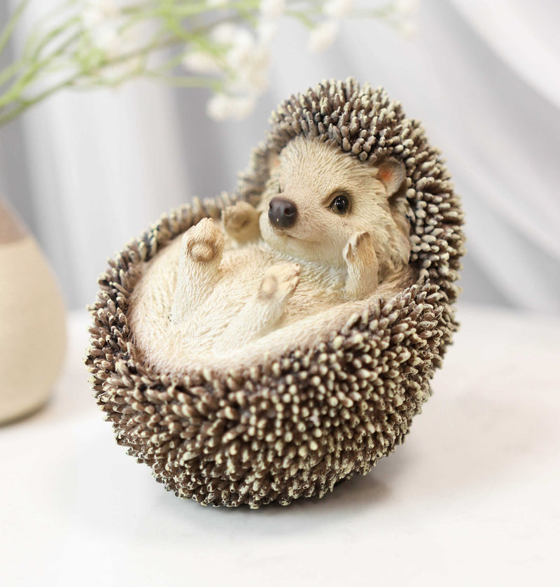 Lifelike Realistic Spinal Mammal Baby Hedgehog Lying On Back Decorative Figurine