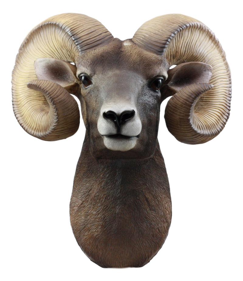 Rocky Mountains Bighorn Ram Trophy Taxidermy Wall Decor Sculpture Hanging Plaque