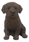 Realistic Lifelike Chocolate Labrador Figurine 6.75"H Labrador Retriever Puppy