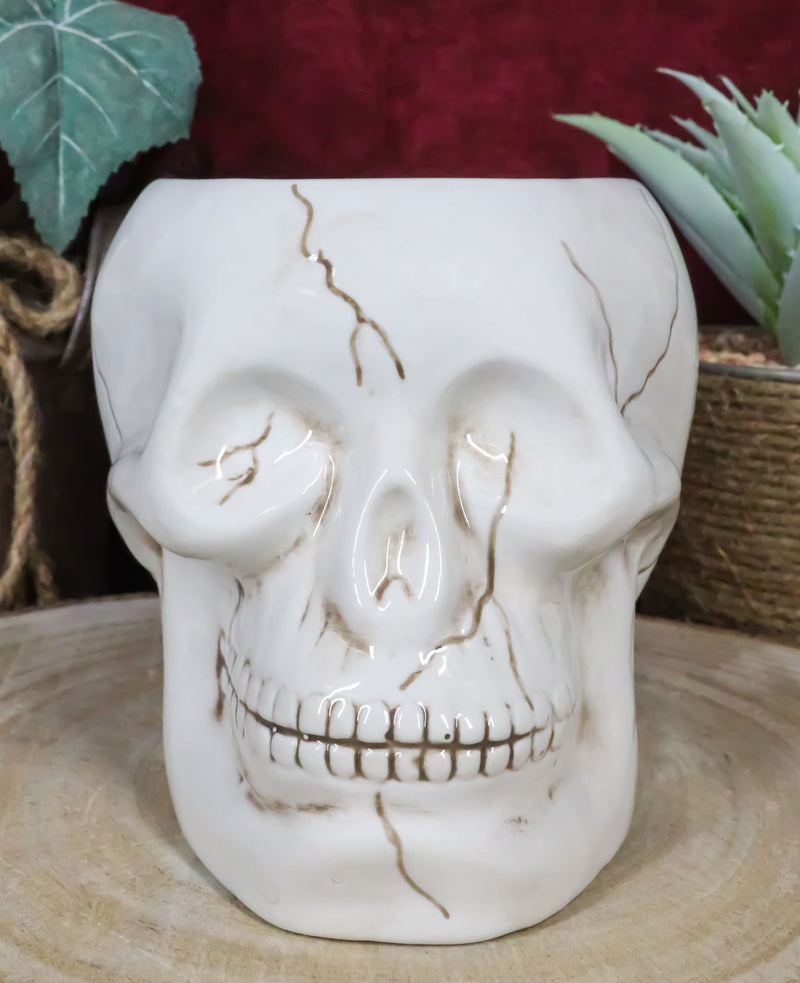 Ceramic Spooky Jointed Homosapien Human Skull Cereal Treat Soup Bowl 32oz