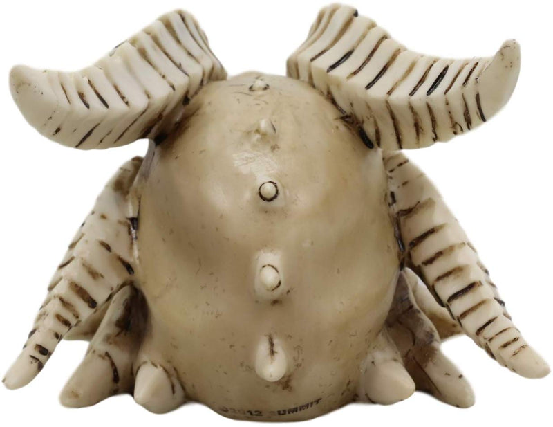 Ebros Dragon Head Skull Realistic Fossil Wall Sculpture Or Desktop Statue 8.25"L