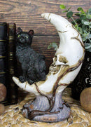 Witching Hour Halloween Black Cat Sitting On Crescent Moon Skull Figurine