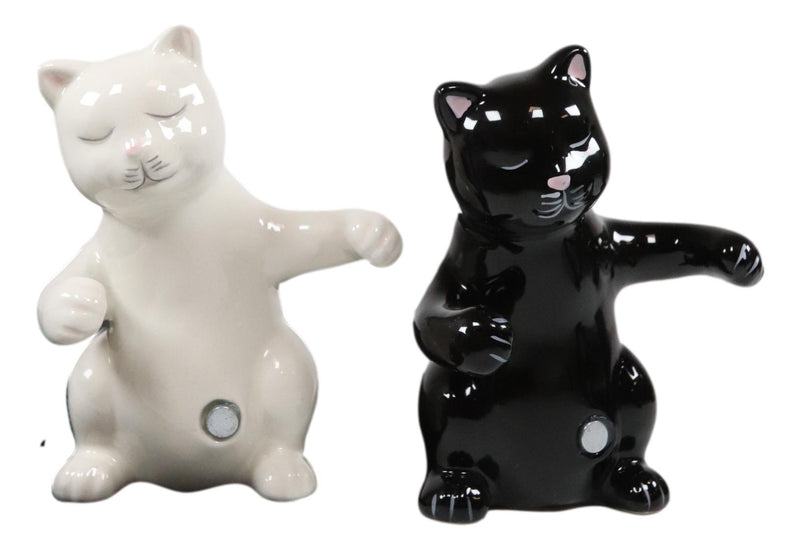 Ebros Colorful Ceramic Black White Cats Couple Hugging Dancing Salt Pepper Shakers Set