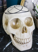 Gothic Sacred Geometry Seed Of Life Earth Creation Cosmic Energy Skull Figurine