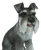 Ebros Large Sitting Realistic Schnauzer Puppy Dog Statue 13"H Pet Pal Pedigree Breed