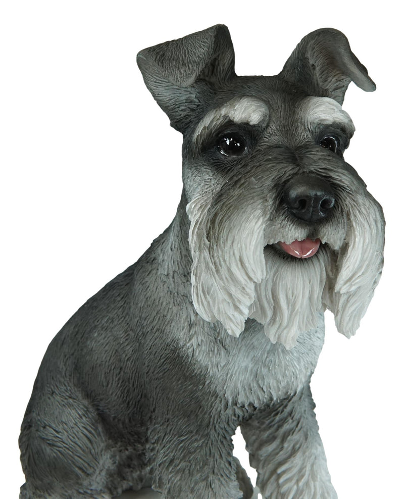 Ebros Large Sitting Realistic Schnauzer Puppy Dog Statue 13"H Pet Pal Pedigree Breed