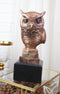 Woodland Nocturnal Bird Hunter Long Eared Owl Bust Electroplated Figurine Bird