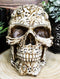 Totem Ghost Spirit Skull Jewelry Box Figurine Ossuary Graveyard Of Lost Souls