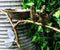 Romantic Lovebirds By Nest On Branch Twigs Aluminum Garden Stake Bird Feeder