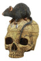 Paranormal Pentagram Colonial Witch Map Salem Skull And Mouse Jewelry Box Statue
