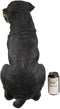 Ebros Sitting Rottie Rottweiler Dog Statue 21" Tall With Glass Eyes Collectible