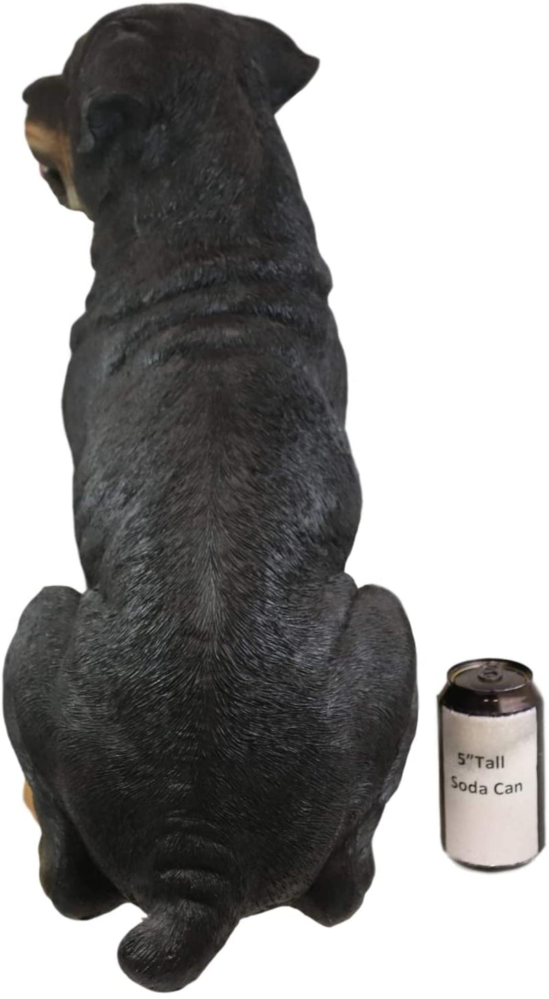 Ebros Sitting Rottie Rottweiler Dog Statue 21" Tall With Glass Eyes Collectible